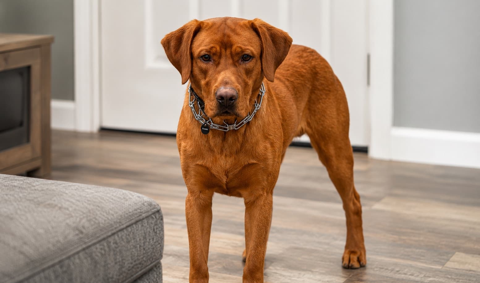 Ruger