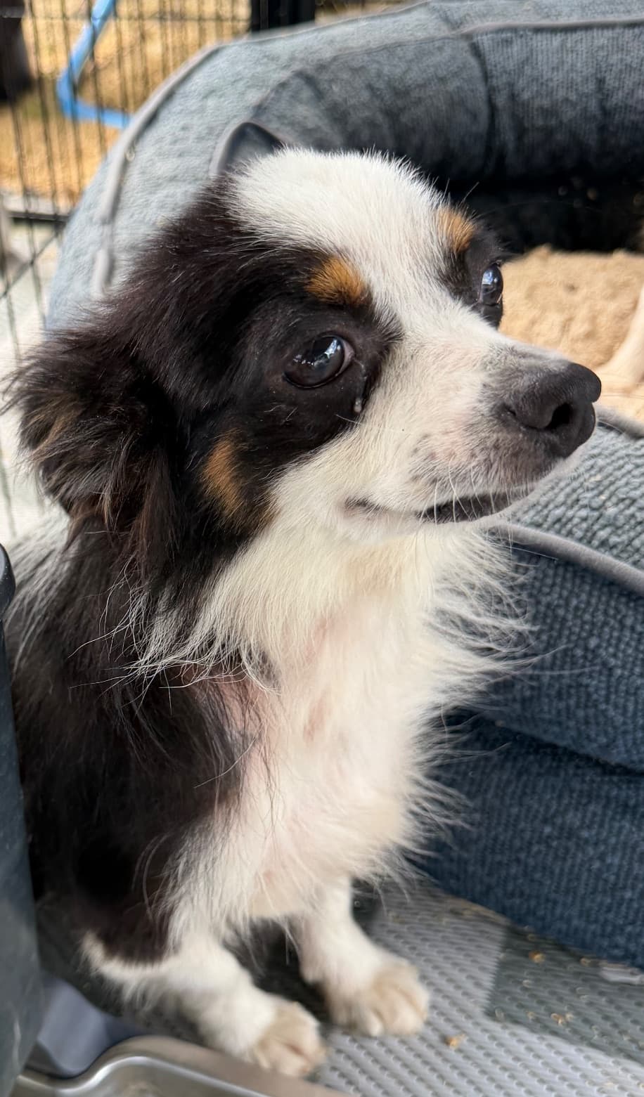 Walter (Wally)