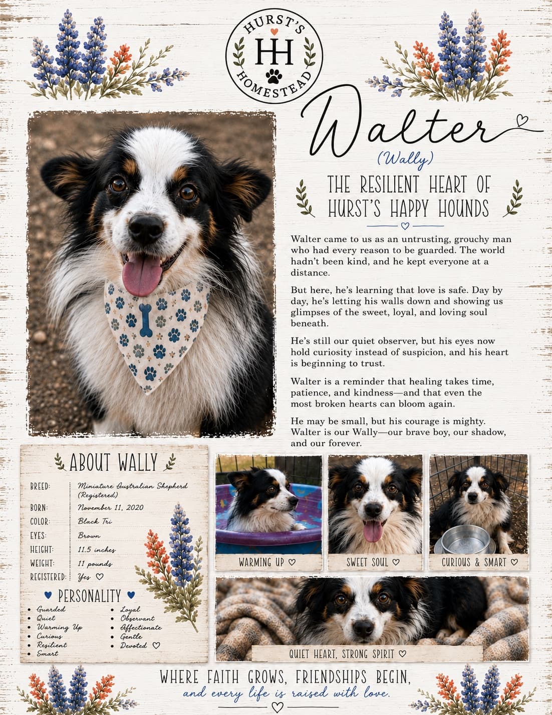 Walter (Wally)