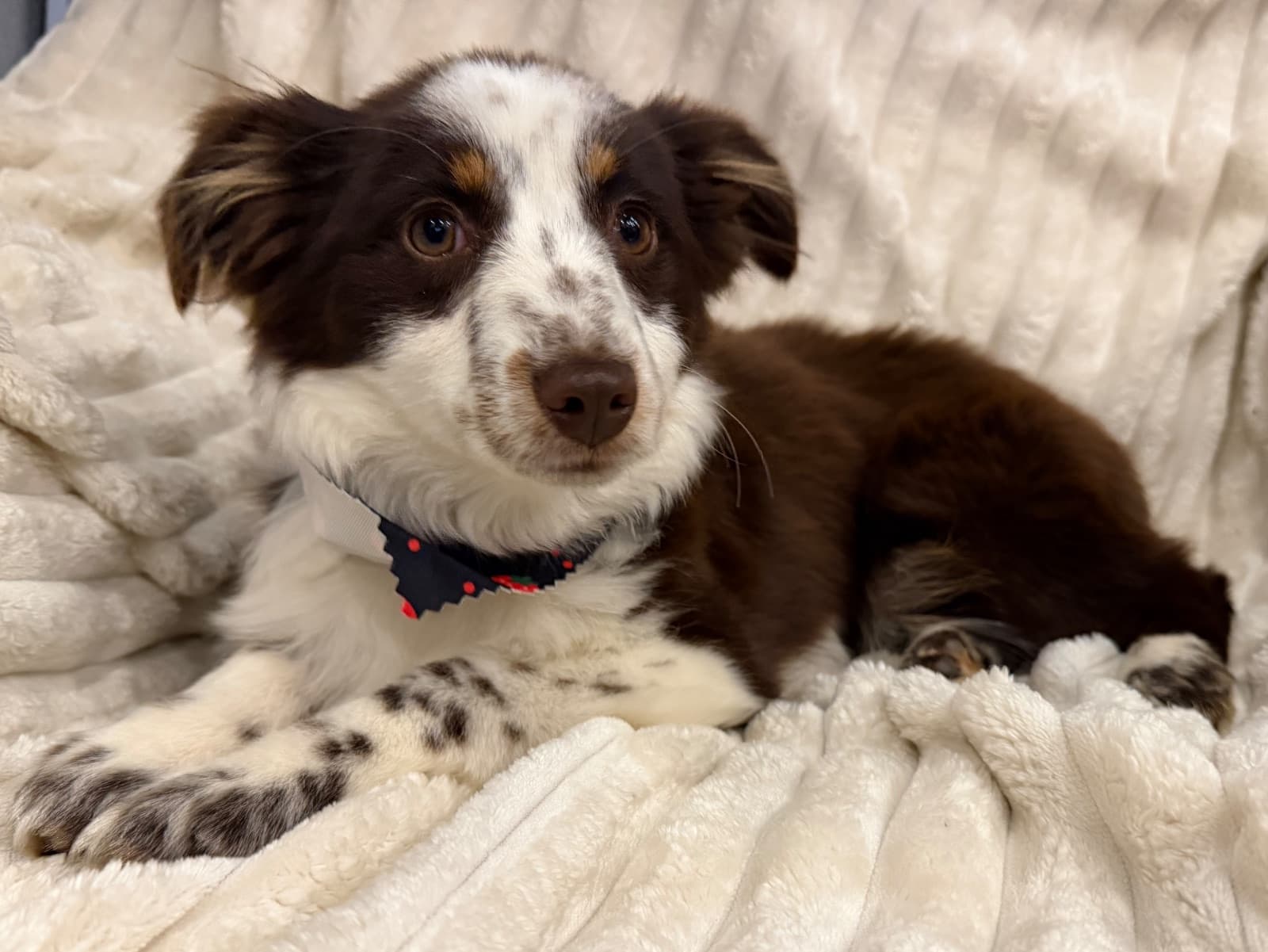 Delilah