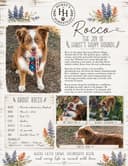 Rocco