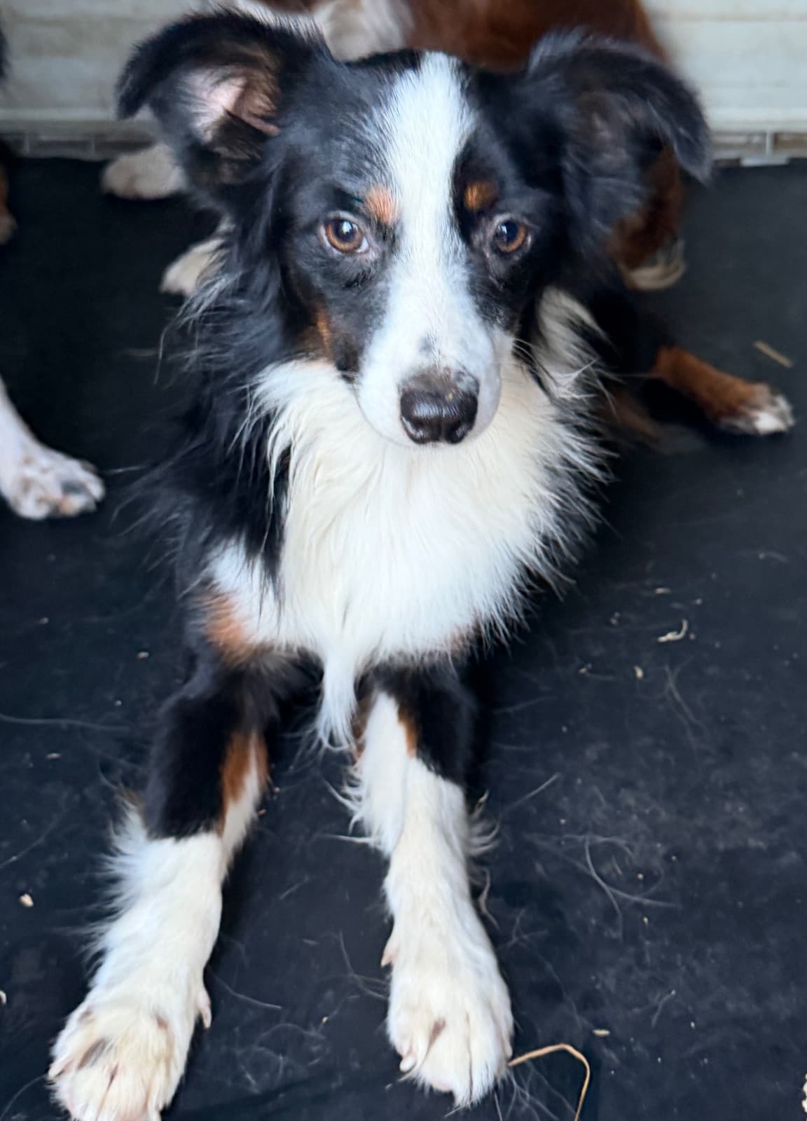 Theodore (Teddy)