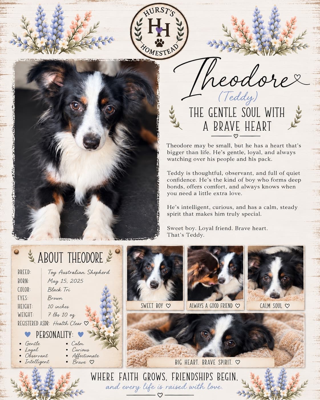 Theodore (Teddy)