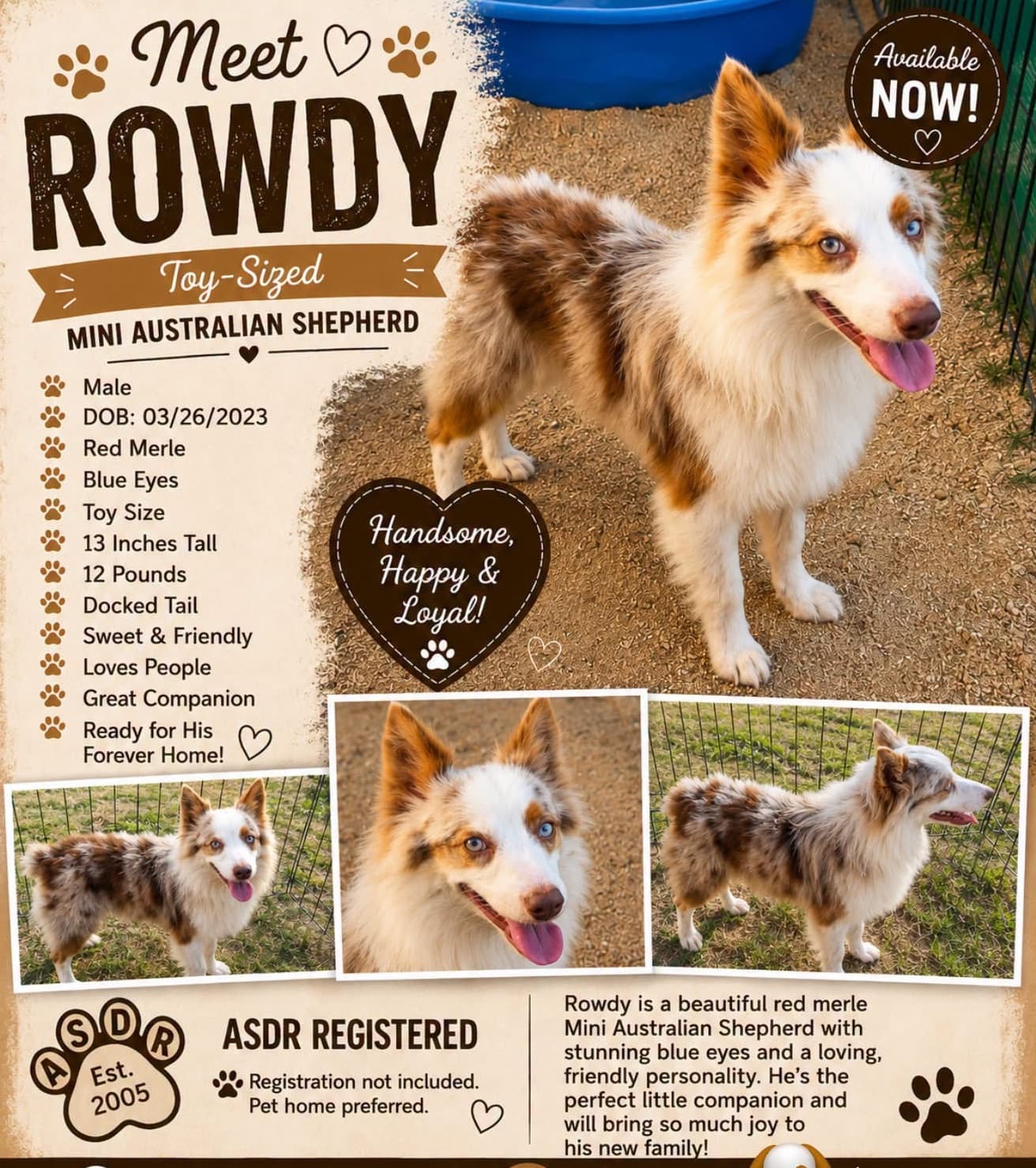 Rowdy