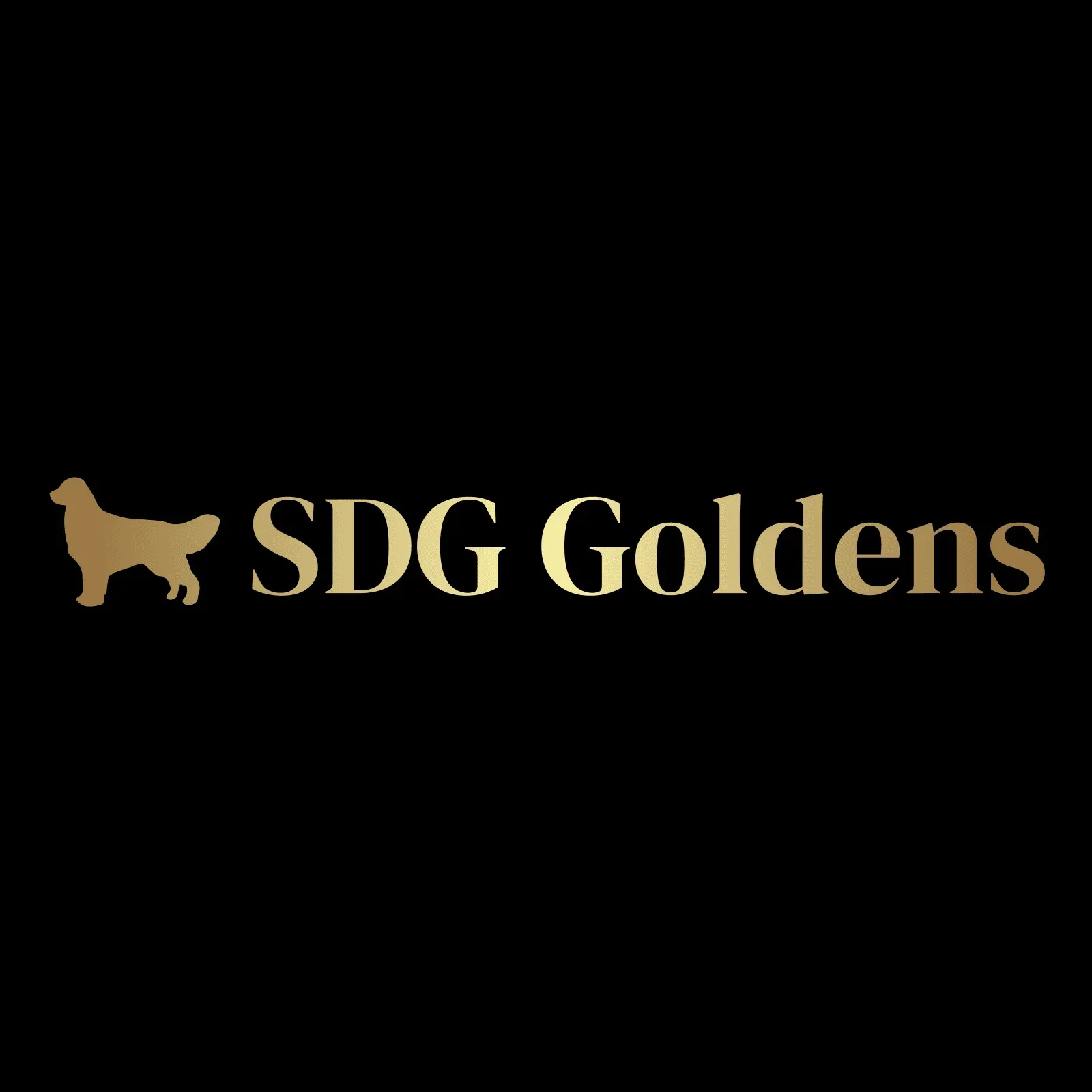 SDG Goldens cover photo