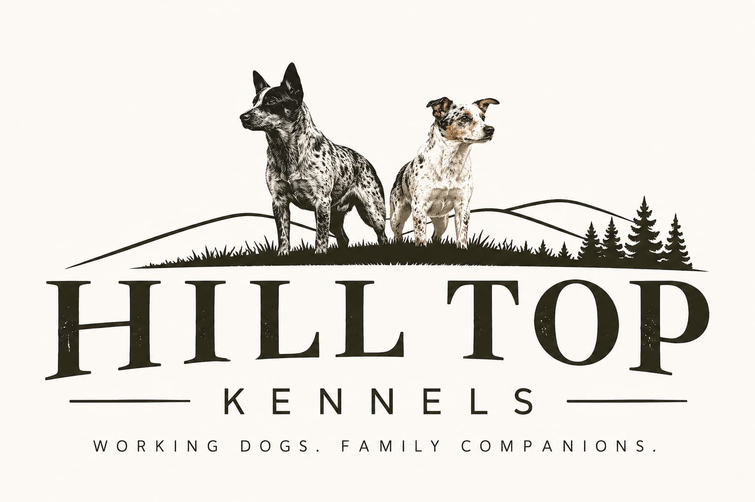 Hilltop Kennels — dog breeder