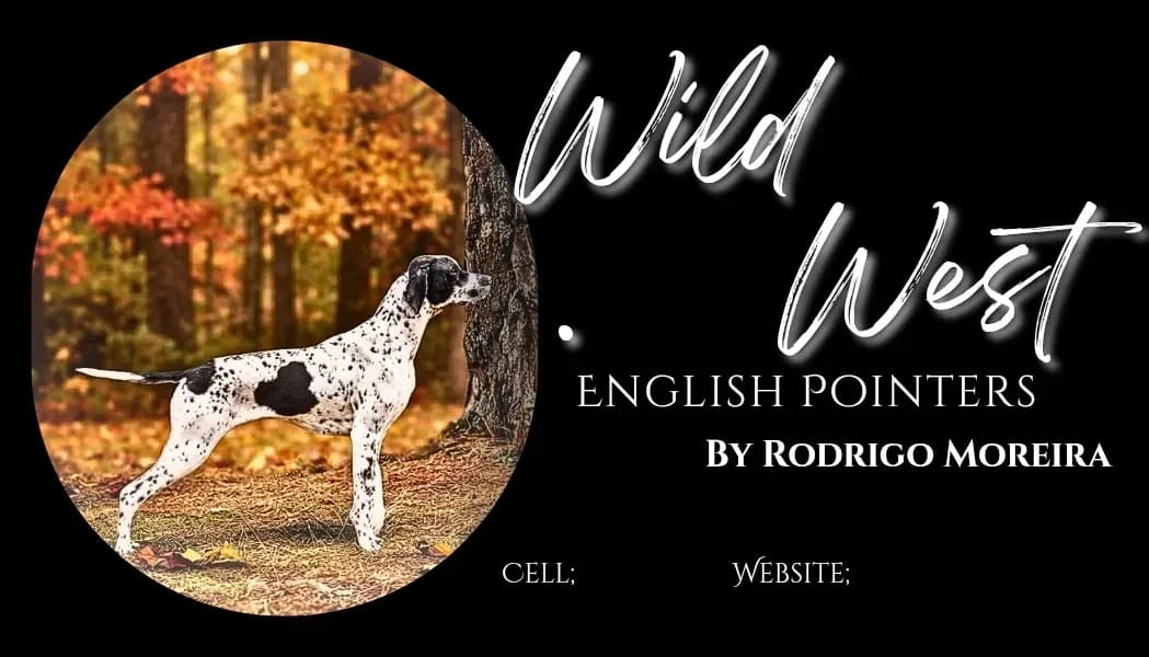 Wild West Pointers — dog breeder